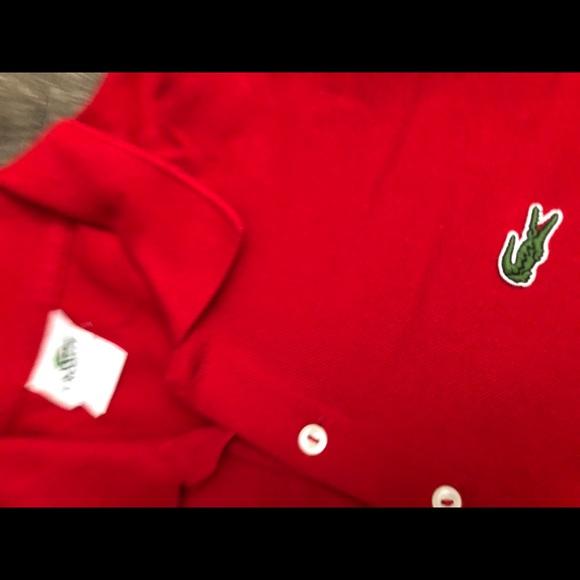 2 Lacoste polos - Picture 6 of 8